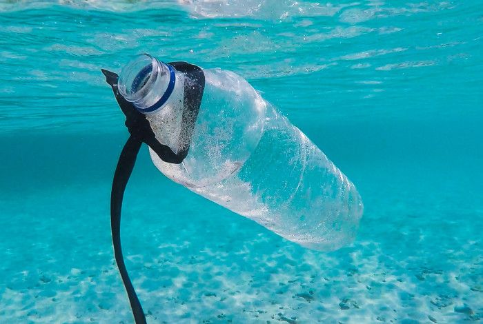 plastic water bottle floating in the ocean